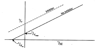 584_Uncompetitive inhibition.png